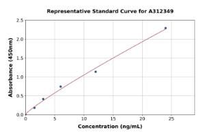 Representative standard curve for Human CD84 ELISA kit (A312349)