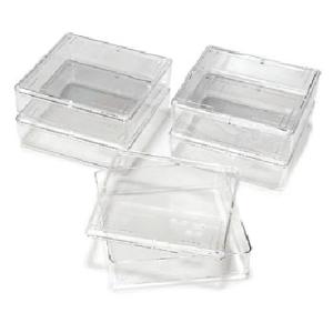 Owl™ Gel Staining Box, Thermo Scientific