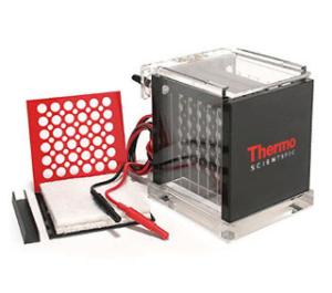 Owl™ Electroblotting Systems, Mini and Large Tanks, Thermo Scientific