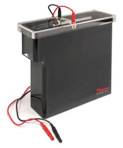 Owl™ Electroblotting Systems, Mini and Large Tanks, Thermo Scientific