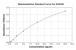 Representative standard curve for Human Caspase-3 ELISA kit (A76246)
