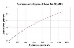 Representative standard curve for Human IFNE / IFNE1 ELISA kit (A311406)