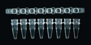 GeneMate 8-Strip 0.2 mL PCR Tubes and Detached Caps