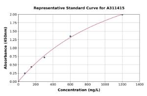Representative standard curve for Mouse MUM1 ELISA kit (A311415)