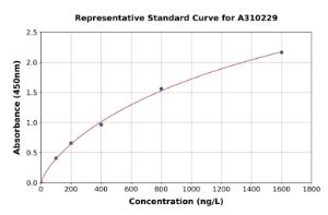Representative standard curve for Human hHR23b ELISA kit (A310229)