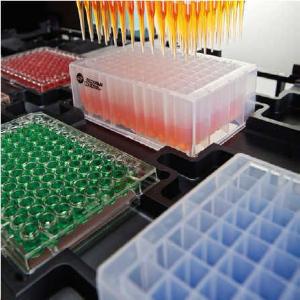 Biomek® 96-Well Microplates, Beckman Coulter®