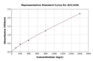 Representative standard curve for Human IRE1 ELISA kit (A311436)