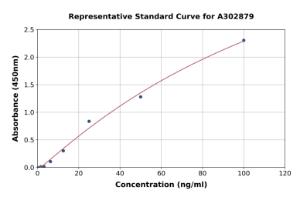 Representative standard curve for Human GPCR MRGX2 ELISA kit (A302879)