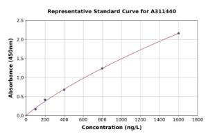 Representative standard curve for Human Hey L ELISA kit (A311440)