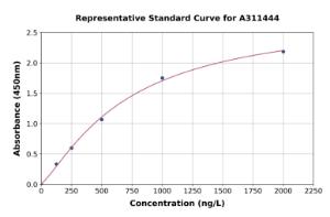 Representative standard curve for Mouse IL-20 ELISA kit (A311444)