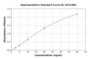 Representative standard curve for Human Raftlin-2 ELISA kit (A312363)