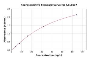 Representative standard curve for Mouse GDNF ELISA kit (A311537)