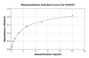 Representative standard curve for Rat Collagen I alpha 2 ELISA kit (A76347)