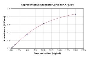 Representative standard curve for Human CREB1 ELISA kit (A76364)