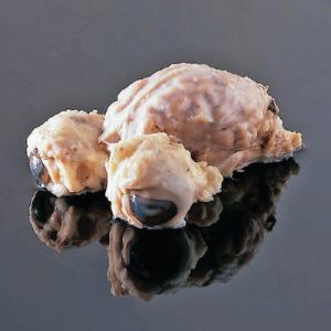Fully Extracted Sheep Brain with Eyes