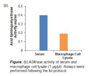 Assay Kit Acid Sphingomyelinase II