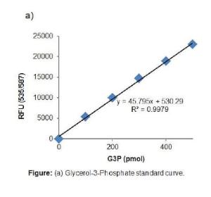 Assay PicoProbe™ Glycerol-3-Phosphate
