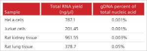Total RNA yield & negligible gDNA yield.<br /> PCR assays for human or rat ?-actin were performed. A standard curve of human/rat gDNA was used to quantify the amount of gDNA contamination in the purified RNA. For all samples, gDNA was present in negligible quantities.