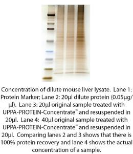 UPPA-PROTEIN-Concentrate™ for Rapid Precipitation and Concentration, G-Biosciences