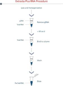 Extracta Plus RNA procedure.<br />This procedure can be completed in just 25 mins, resulting in ready-to-use total RNA applicable for sensitive downstream applications such as RT-qPCR and NGS.