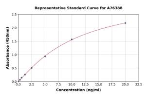 Representative standard curve for Human Cx40 ml GJA5 ELISA kit (A76388)