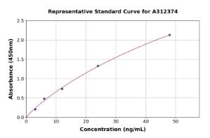 Representative standard curve for Human C4orf48 ELISA kit (A312374)