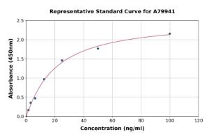 Representative standard curve for Rat COMP/Cartilage Oligomeric Matrix Protein ELISA kit (A79941)