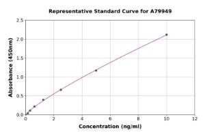 Representative standard curve for Rat Cathepsin B ELISA kit (A79949)