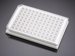 96-well tissue culture treated microplates