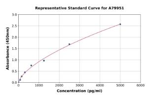 Representative standard curve for Rat Cathepsin K ELISA kit (A79951)