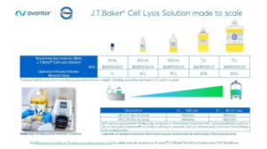 J.T.Baker Cell lysis solution