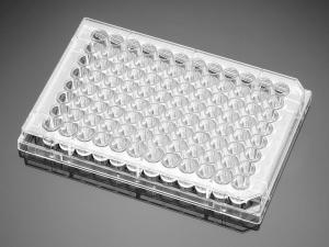 96-well tissue culture treated microplates