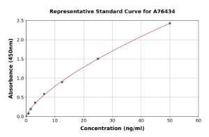 Representative standard curve for Mouse beta Defensin 1 ELISA kit (A76434)