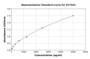 Representative standard curve for Human p53 ELISA kit (A77443)
