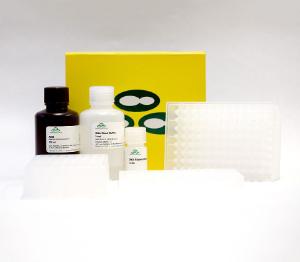 Zymoclean™ Gel DNA Recovery Kits, Zymo Research