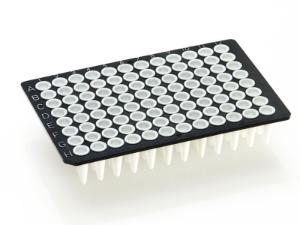 FrameStar 96 well non-skirted PCR plate, low profile