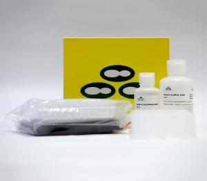 ZR DNA Sequencing Clean-up Kits™, Zymo Research