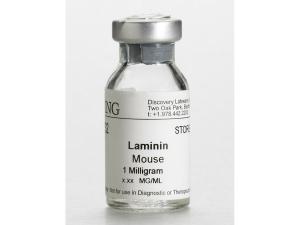 Mouse Laminin