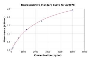 Representative standard curve for Rat ESM1 ELISA kit (A79978)