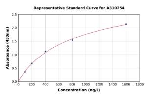 Representative standard curve for Human VCP ELISA kit (A310254)