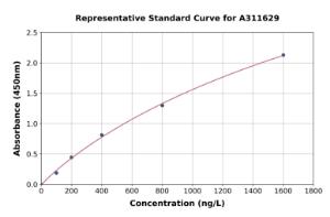 Representative standard curve for Human ENOX1 ELISA kit (A311629)
