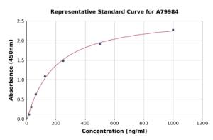 Representative standard curve for Rat Factor XIIIa ELISA kit (A79984)