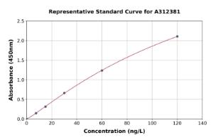 Representative standard curve for Mouse IL-2 ELISA kit (A312381)