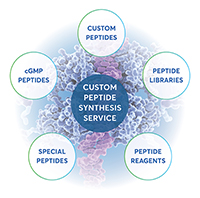 Custom Peptide Synthesis Service