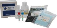 Western Blotting Kits and Accessories