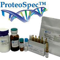 ProteoSpec™ Solutions and Reagents for Proteomics Research