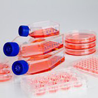 Cell Culture Plastics